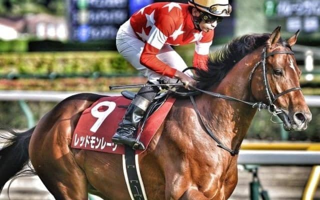 【安田記念】エアグルーヴ一族初のマイルGI制覇へ レッドモンレーヴが参戦