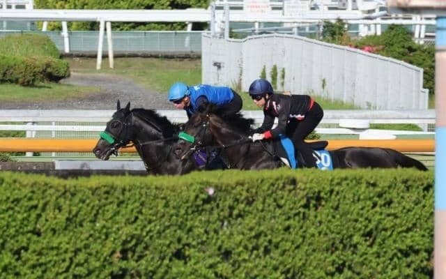 ジャスティンパレスなど、宝塚記念1週前追い切り速報/栗東トレセンニュース