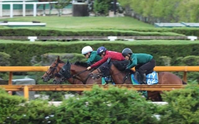 ベラジオオペラ、宝塚記念1週前追い切り速報/栗東トレセンニュース