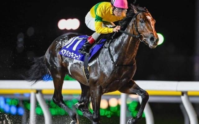 【船橋・若潮スプリント結果】骨折休養明けも関係なし！ベアバッキューンが人気に応え無傷5連勝