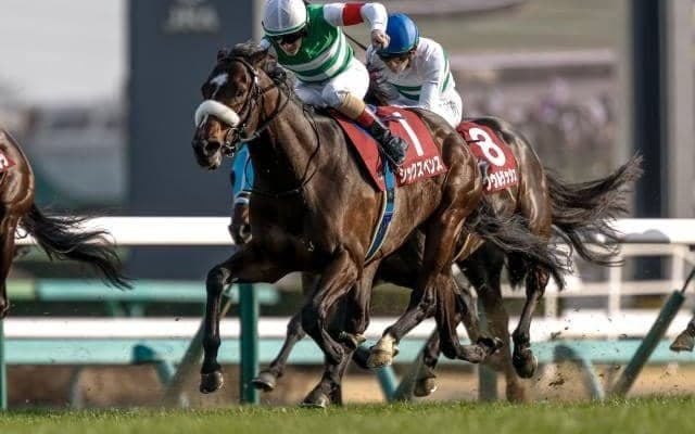 【安田記念予想】AIは期待値大きい4歳馬を指名 レース傾向からは強調しづらいが…？