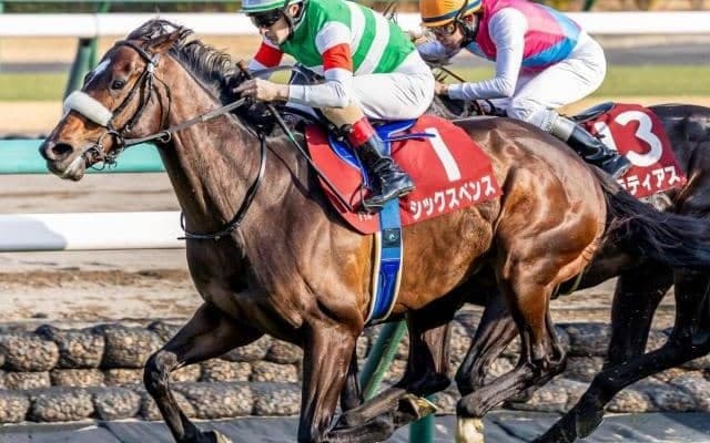 【安田記念】C.ルメール騎手が7年ぶり2勝目へ シックスペンスとの無敗タッグで挑む