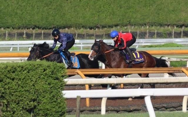 ローシャムパーク、宝塚記念1週前追い切り速報/栗東トレセンニュース