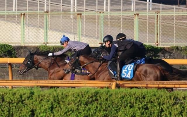 ヨーホーレイク、宝塚記念1週前追い切り速報/栗東トレセンニュース