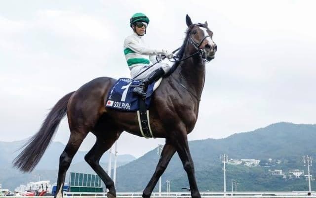 【安田記念出走馬・騎手確定】ソウルラッシュ＆浜中俊騎手、ジャンタルマンタル＆川田将雅騎手など18頭