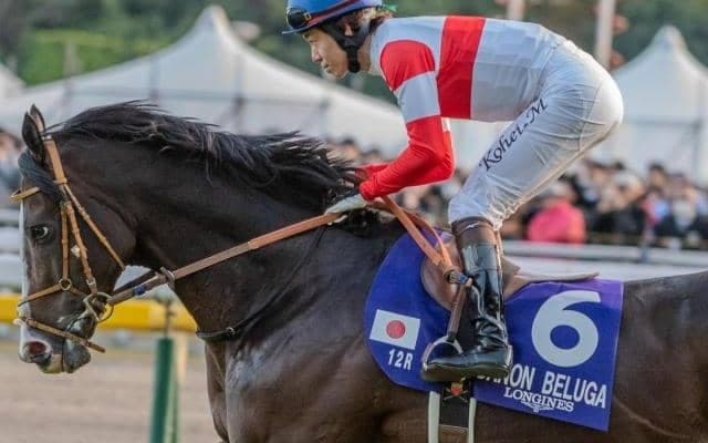 堀宣行厩舎の4億円馬 ダノンヒストリーがレーン騎手でデビュー