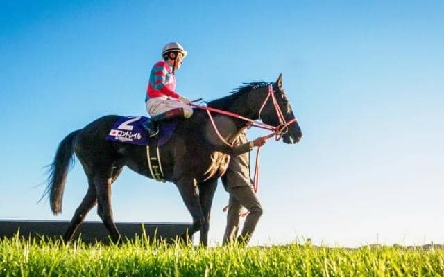 今週末から中央競馬でも2歳新馬戦 今年デビューを迎える新種牡馬たちは？