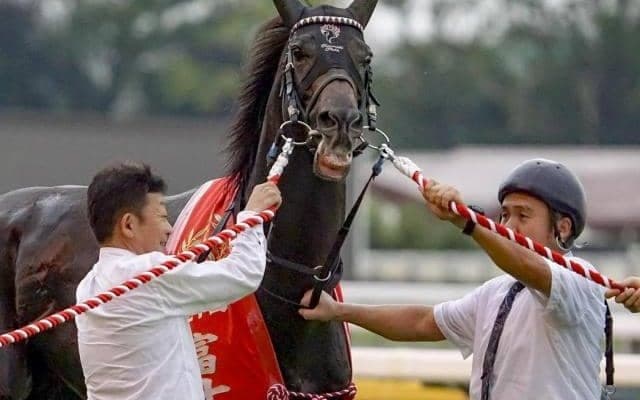 今週の武豊騎手は8鞍 ジュンブロッサムで安田記念4勝目なるか