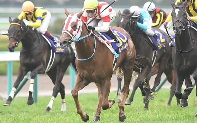 母は桜花賞馬のレーヌミノル テンユウが注目のデビュー戦だ