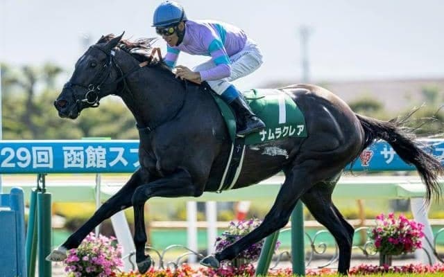 【函館SS想定馬・騎手】ナムラクレア、ミリアッドラヴなど21頭