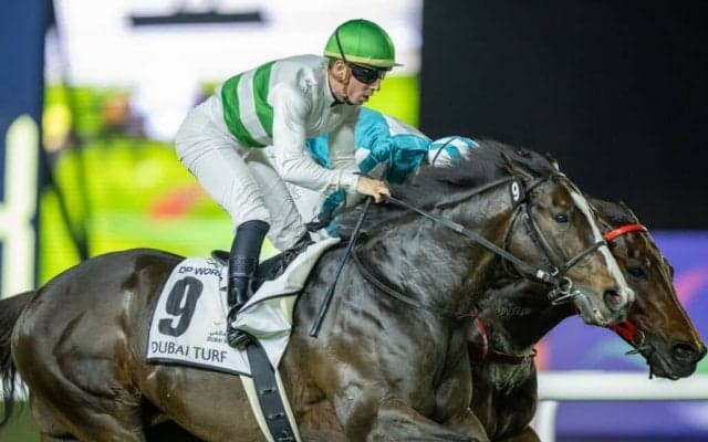 【安田記念】ドバイVのソウルラッシュは7枠13番