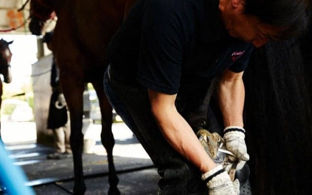 【装蹄師・西内荘コラム】函館への馬移動が本格化、新馬戦シーズンの幕開けも