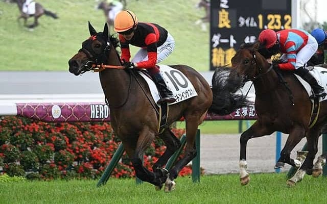 新種牡馬デビューJRA勝利一番乗りは？ 過去5年の馬を紹介