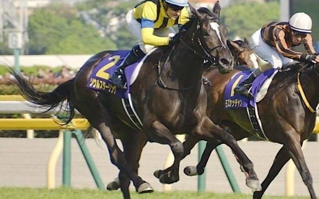 母は名牝ソウルスターリング スタードメイソンがデビューVなるか