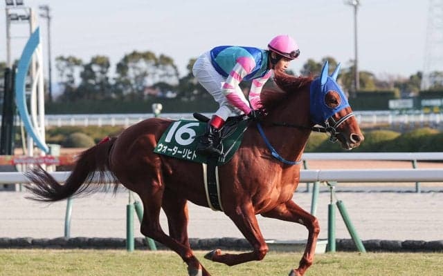 【競馬予想】安田記念はどの馬にもチャンスあり！ 元ジョッキーは決め手ある新勢力に白羽の矢