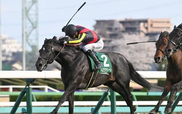 【競馬予想】安田記念で見るべき血統は「牝系」　コース適正が高い２頭の４歳馬に期待