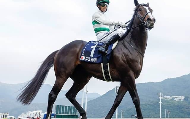 【安田記念前日オッズ】ソウルラッシュが3.8倍で1番人気