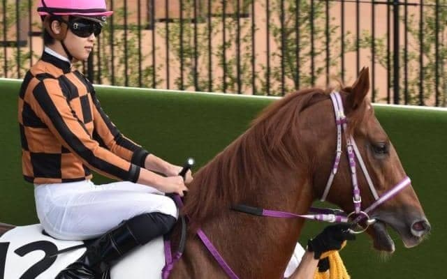 東京ダートは8枠が圧倒的に有利 八王子特別はモズナイスバディーに注目