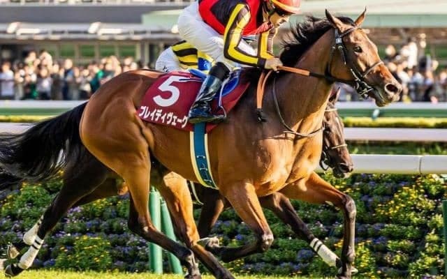 霜降り明星・粗品はブレイディヴェーグを信頼 3連単＆3連複で勝負だ