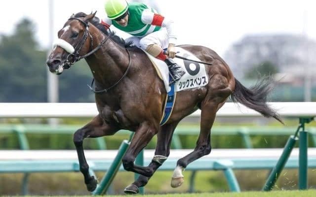 【安田記念予想】人気順・枠・騎手の傾向は？ 過去データから狙うGI安田記念