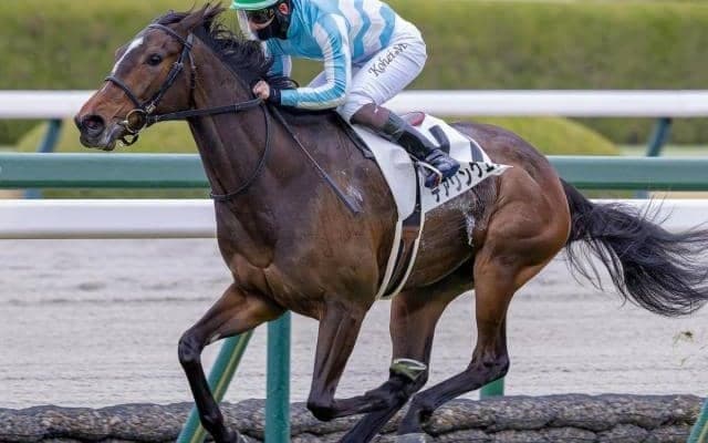 全姉は三冠牝馬のデアリングタクト デアリングエアが連勝狙う