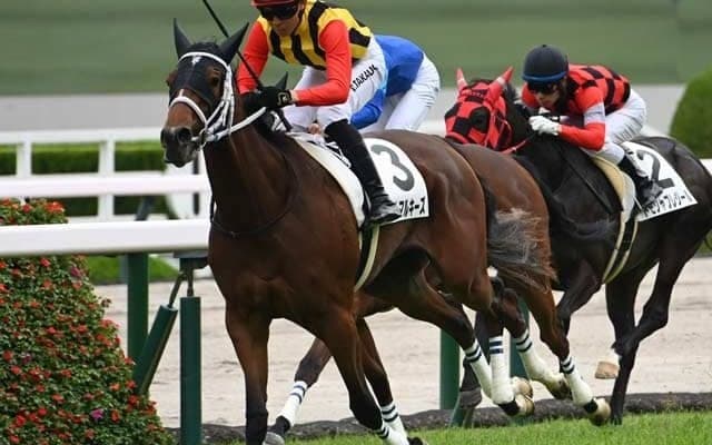 【阪神5R新馬戦結果】キタサンブラック産駒ファムマルキーズが人気に応えてV