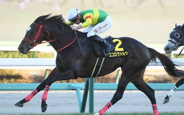 【競馬予想】安田記念は断然の主役は不在　好配当必至のレースで穴党記者激推しの２頭