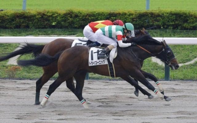 【東京2R】大井所属の矢野貴之がJRA初勝利…トライゴーニックで押し切る