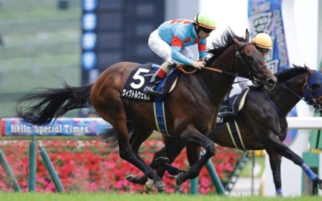 【香港JT】単勝1.1倍ウィクトルウェルスが断然の支持に応える
