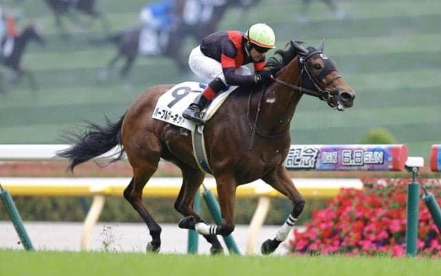 【新馬/東京6R】パープルガーネットが鮮やかな差し切りを決める