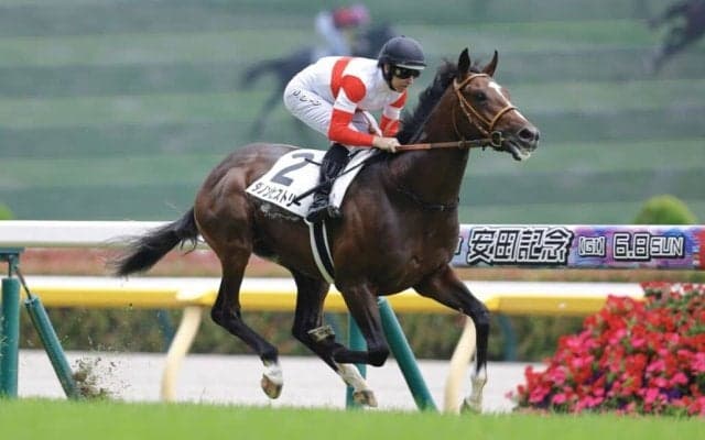 【新馬/東京5R】単勝1.2倍ダノンヒストリーが快勝…ダノンベルーガ、ボンドガール半弟