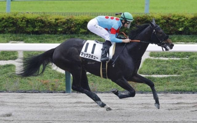 【東京4R】断然人気のマックスキューが5馬身差圧勝