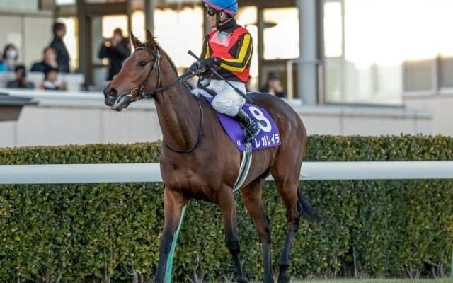 上半期の総決算・宝塚記念など3重賞/今週の競馬界の見どころ