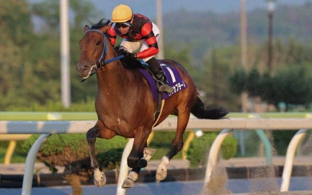 【水沢・東北優駿】リケアカプチーノ、7馬身差圧勝！吉原寛人×菅原勲でダービー制覇