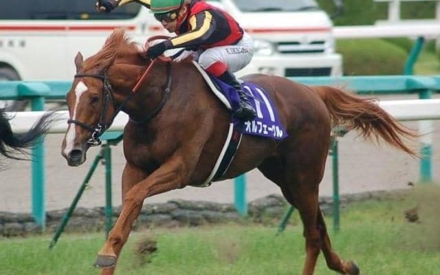過去にはオルフェーヴルやゴールドシップなど 前年菊花賞馬の宝塚記念成績