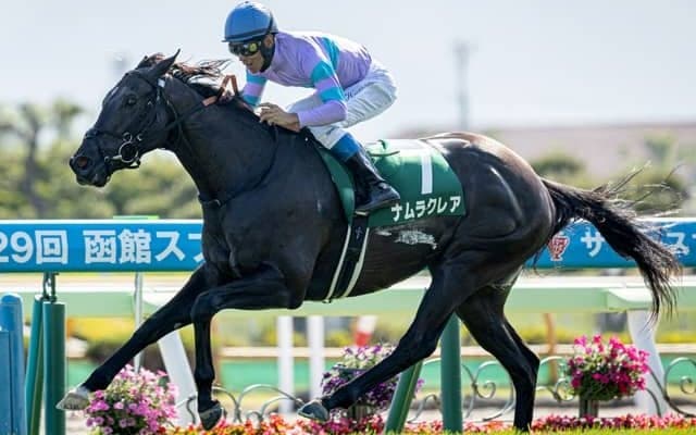 【函館SS見どころ】ナムラクレアが力の違いを見せつける