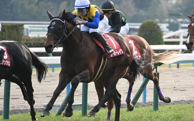 【宝塚記念見どころ】ヨーホーレイクのGI初制覇に期待
