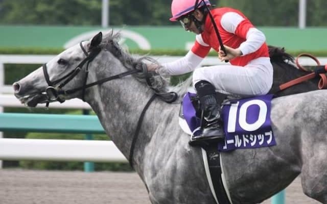 現在4連勝中！ “巳年の宝塚記念”に存在する共通項