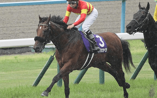 【宝塚記念過去10年傾向】直線一気は決まりにくい まずは先行馬を軸に