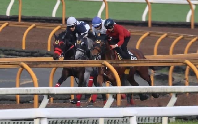 母はアルテミスSで後の桜花賞馬を撃破 日曜阪神で初陣迎えるボクサークラブ/関西馬メイクデビュー情報