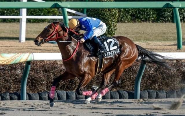 【先週のJRA抹消馬】短距離戦で計4勝のタイセイブリリオ、21年ラジオNIKKEI賞の2着馬ワールドリバイバル