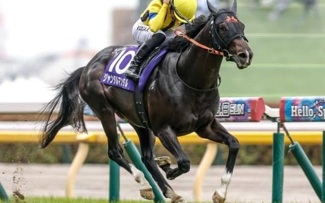 近年の強豪馬に欠かせぬ「バーナーディニ」 血統表でよく見る名馬を深堀り