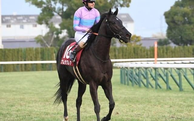 【函館SS想定騎手】ナムラクレアはC.ルメール騎手、ビッグシーザーは北村友一騎手