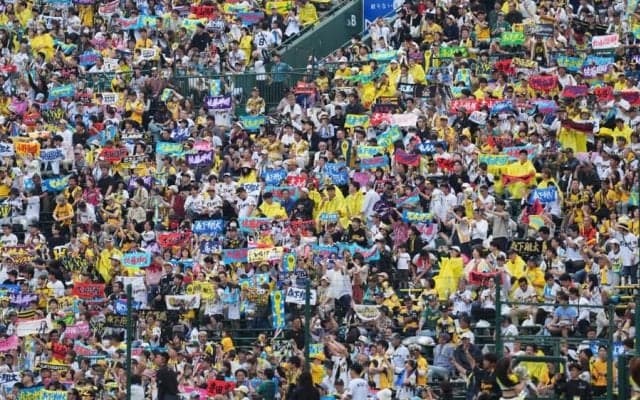 甲子園に降臨した“ガチ勢美女”　サトテル弾に思わず大興奮「生とらほー出来て感激」