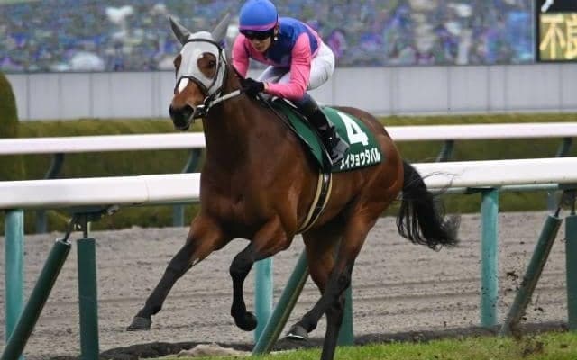 【宝塚記念過去10年傾向】勝ち時計はペースによって大きく変化 今年はメイショウタバルの出方がカギ 