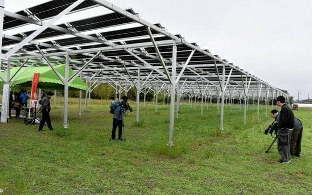 J3ガイナーレ鳥取が二刀流で地域貢献　下は芝栽培、上は太陽光発電