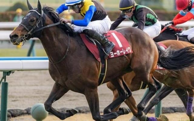 宝塚記念史上3頭目の7歳馬Vなるか 今年は3頭が参戦