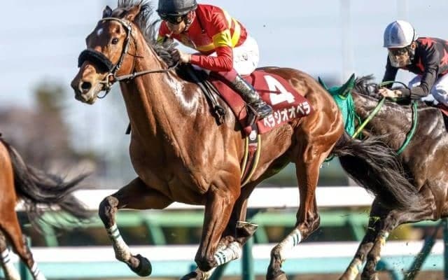 【宝塚記念予想オッズ】ベラジオオペラが予想1番人気