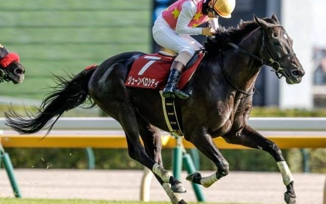 【東京JS予想オッズ】ジューンベロシティが予想1番人気