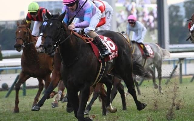 【函館SS予想オッズ】ナムラクレアが予想1番人気